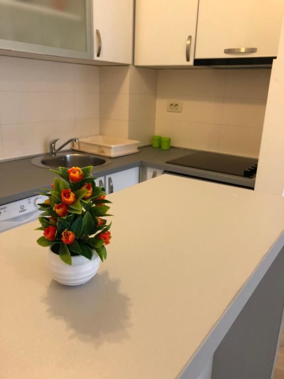 Апартаменты Fanky City Подгорица-27