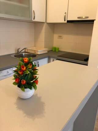 Апартаменты Fanky City Подгорица Апартаменты-24