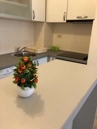 Апартаменты Fanky City Подгорица Апартаменты-9