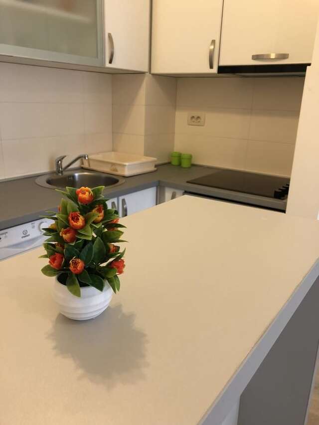 Апартаменты Fanky City Подгорица-11